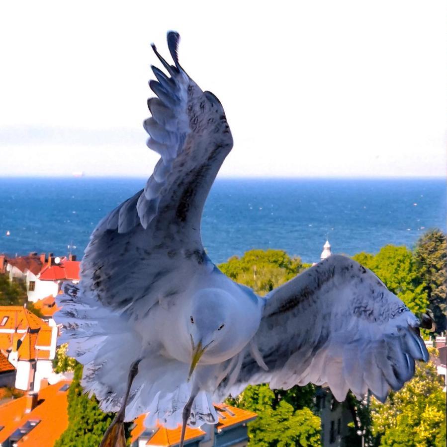 Pokoje Przy Plazy Z Widokiem Na Morze Sopot Buitenkant foto