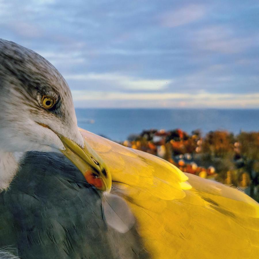 Pokoje Przy Plazy Z Widokiem Na Morze Sopot Buitenkant foto