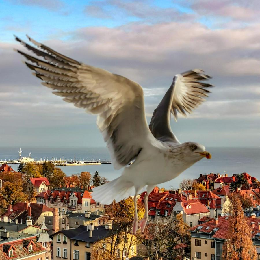 Pokoje Przy Plazy Z Widokiem Na Morze Sopot Buitenkant foto