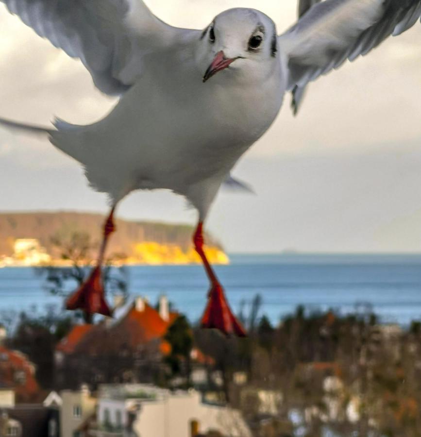 Pokoje Przy Plazy Z Widokiem Na Morze Sopot Buitenkant foto