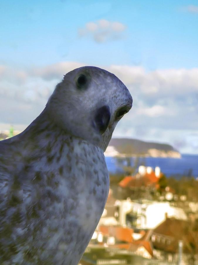 Pokoje Przy Plazy Z Widokiem Na Morze Sopot Buitenkant foto