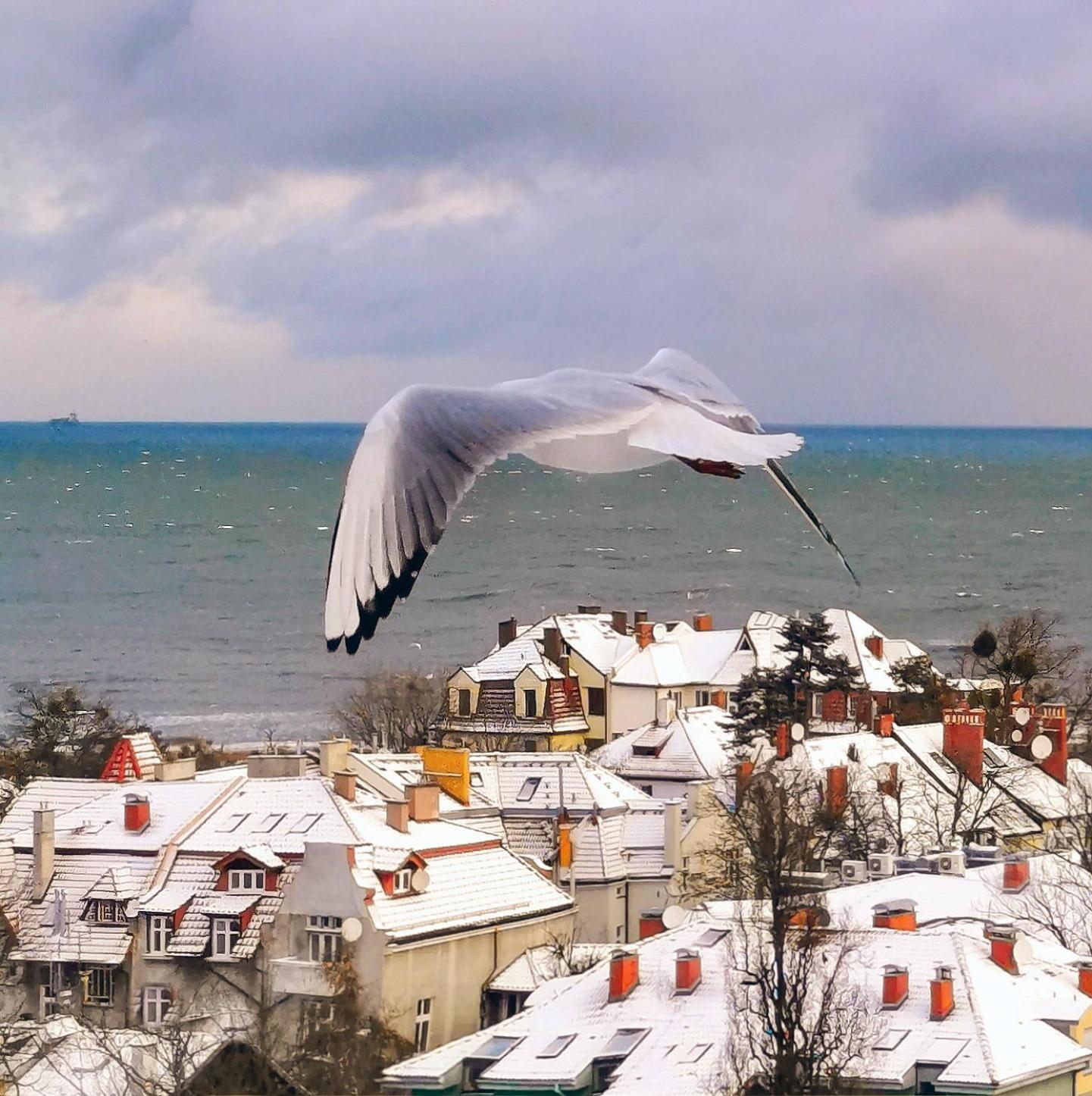 Pokoje Przy Plazy Z Widokiem Na Morze Sopot Buitenkant foto