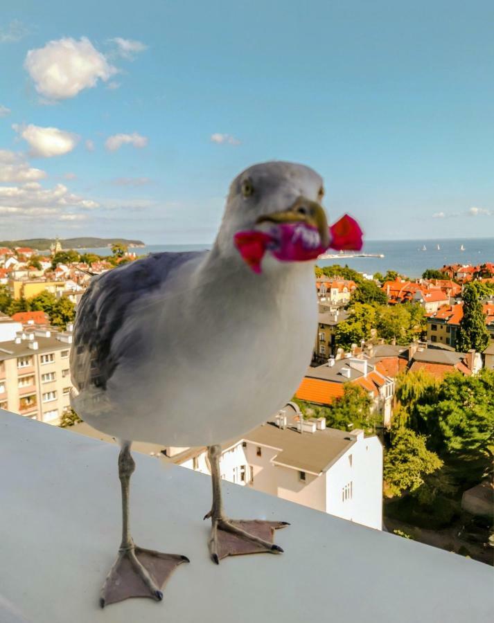 Pokoje Przy Plazy Z Widokiem Na Morze Sopot Buitenkant foto
